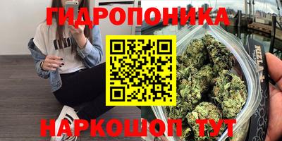 крисы Заводоуковск