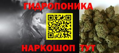 крисы Заводоуковск