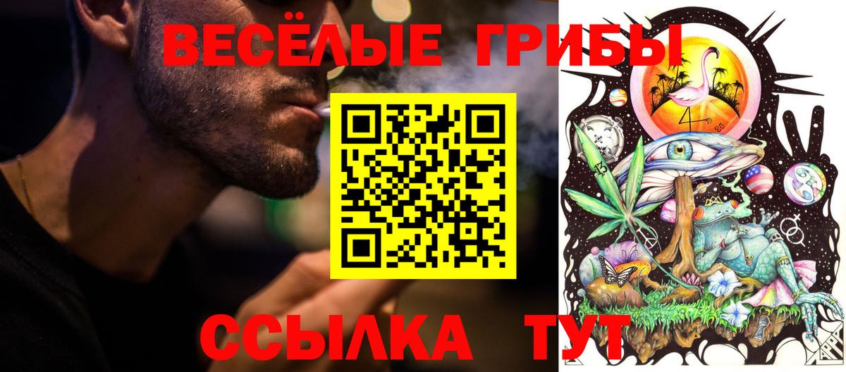 Псилоцибиновые грибы GOLDEN TEACHER  Псилоцибиновые грибы Psilocybine cubensis  Вход с VPN  Стерлитамак 